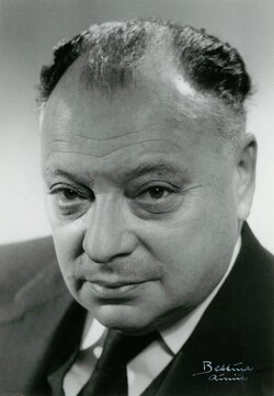 Wolfgang Pauli, Porträt