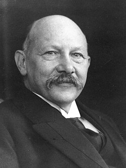 Heike Kamerlingh Onnes, Porträt