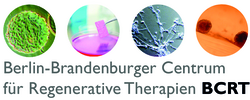 Logo Berlin-Brandenburger Centrum für Regenerative Therapien