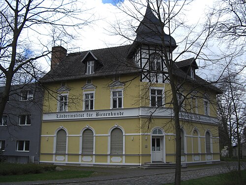 Länderinstitut für Bienenkunde, Hohen Neuendorf