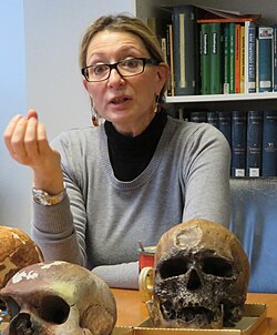 Katerina Harvati-Papatheodorou, Porträt