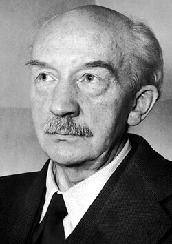 Walther Bothe, Porträt