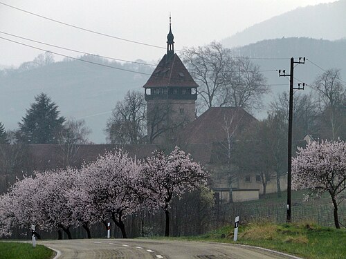 Institut für Rebenzüchtung Geilweilerhof, Siebeldingen