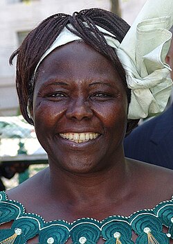 Wangari Maathai, Porträt