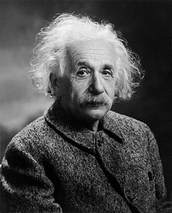 Albert Einstein, Porträt