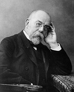 Robert Koch, Porträt
