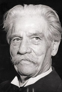 Albert Schweitzer, Porträt