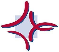 Logo Katholische Hochschule Mainz