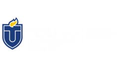 Logo Touro College Berlin