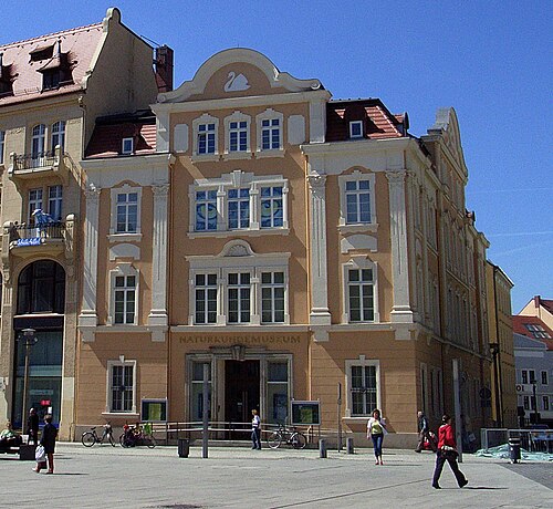Senckenberg Museum für Naturkunde Görlitz, Görlitz