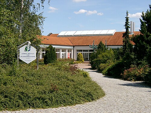 Leibniz-Institut für Pflanzenbiochemie, Halle (Saale)