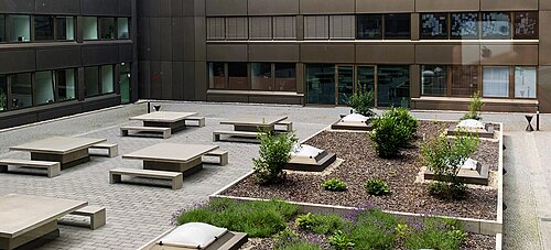 Deutsche Hochschule für Gesundheit und Sport, Berlin