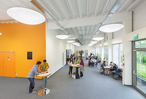 Internationale Hochschule SDI München, München